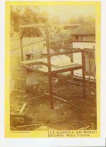 scaffold